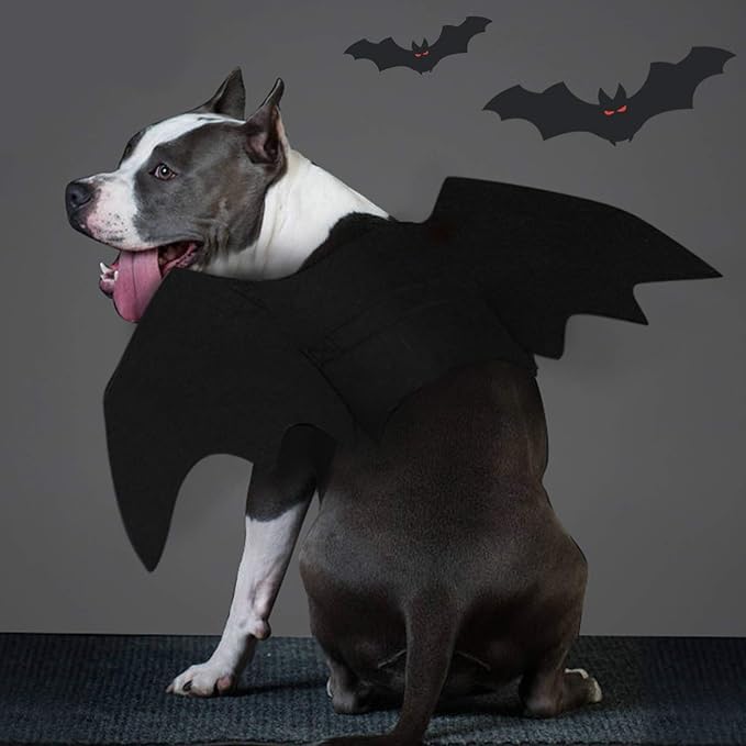 Skanto | Halloween Hund Kostyme Flagermus Vinger