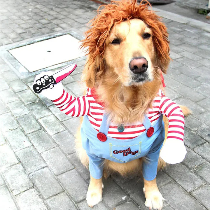 Skanto | Halloween Hundekostyme Morsomt Kjæledyrantrekk
