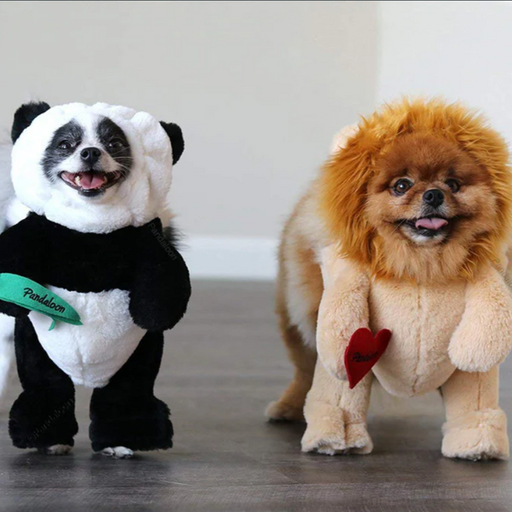 Skanto | Halloween Panda Hund Kostyme Utstyr
