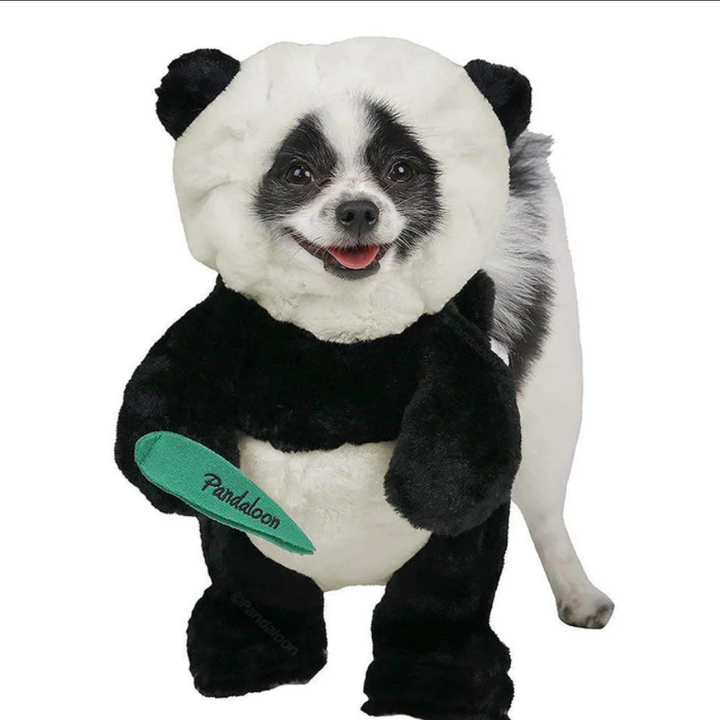 Skanto | Halloween Panda Hund Kostyme Utstyr