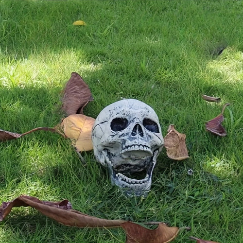 Skanto | Halloween Hodeskalle Utendørs Dekorasjon Requisitt
