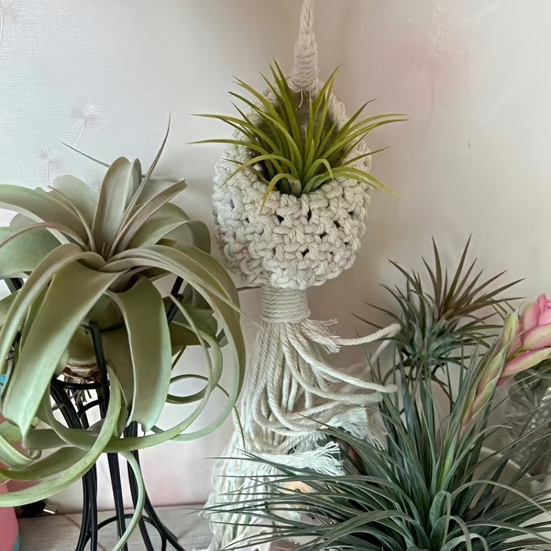 Norvo | Håndlaget Makrame Luftplante Hengende Kurv