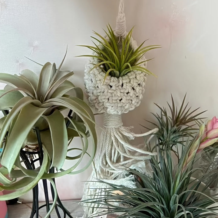 Norvo | Håndlaget Makrame Luftplante Hengende Kurv