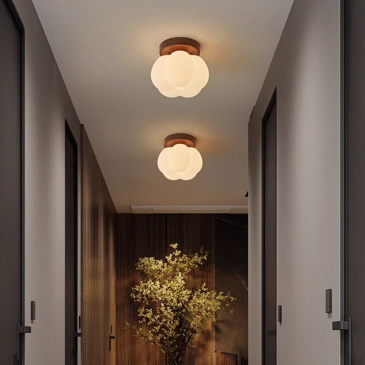 Skanto | Taklampe | Moderne og energieffektiv