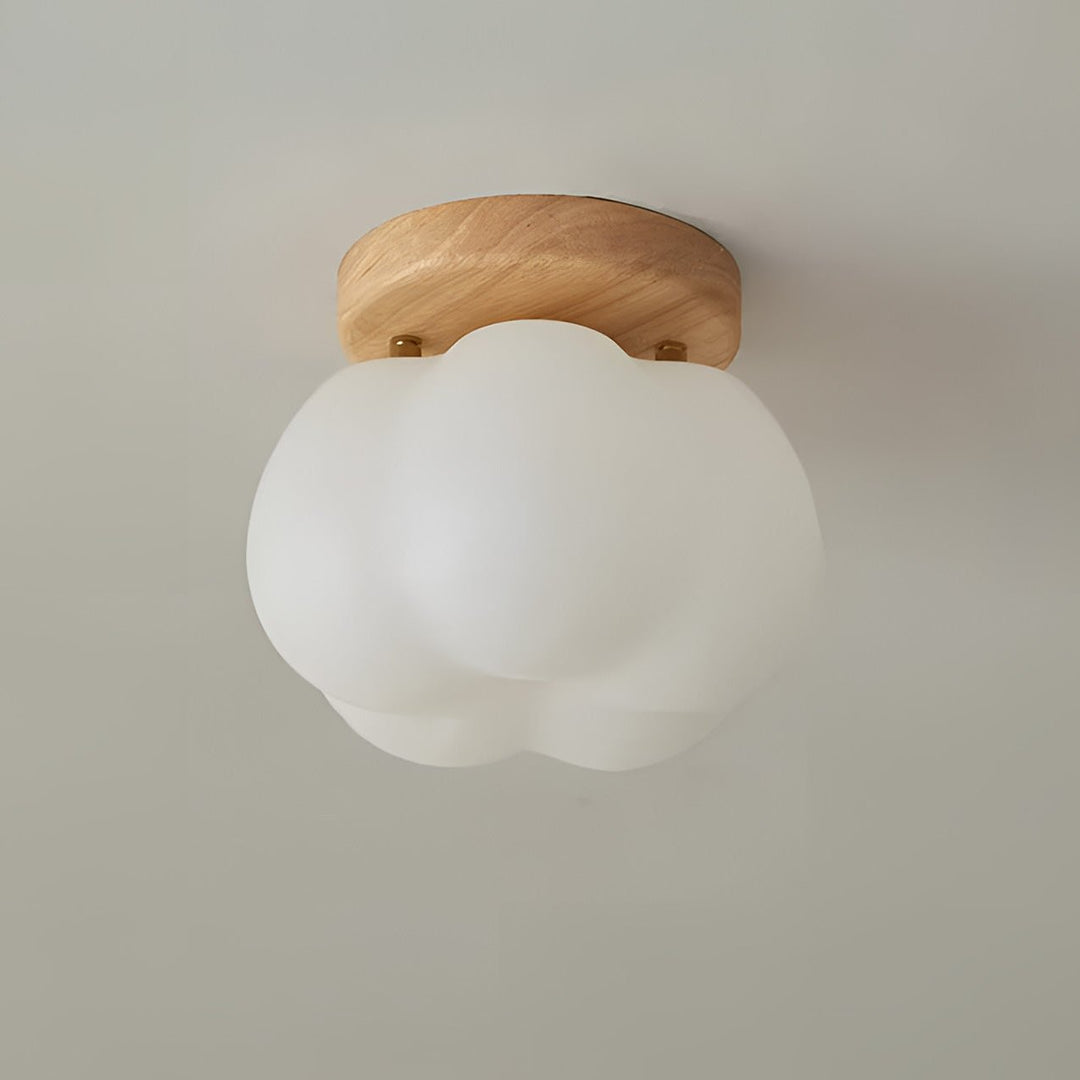 Skanto | Taklampe | Moderne og energieffektiv