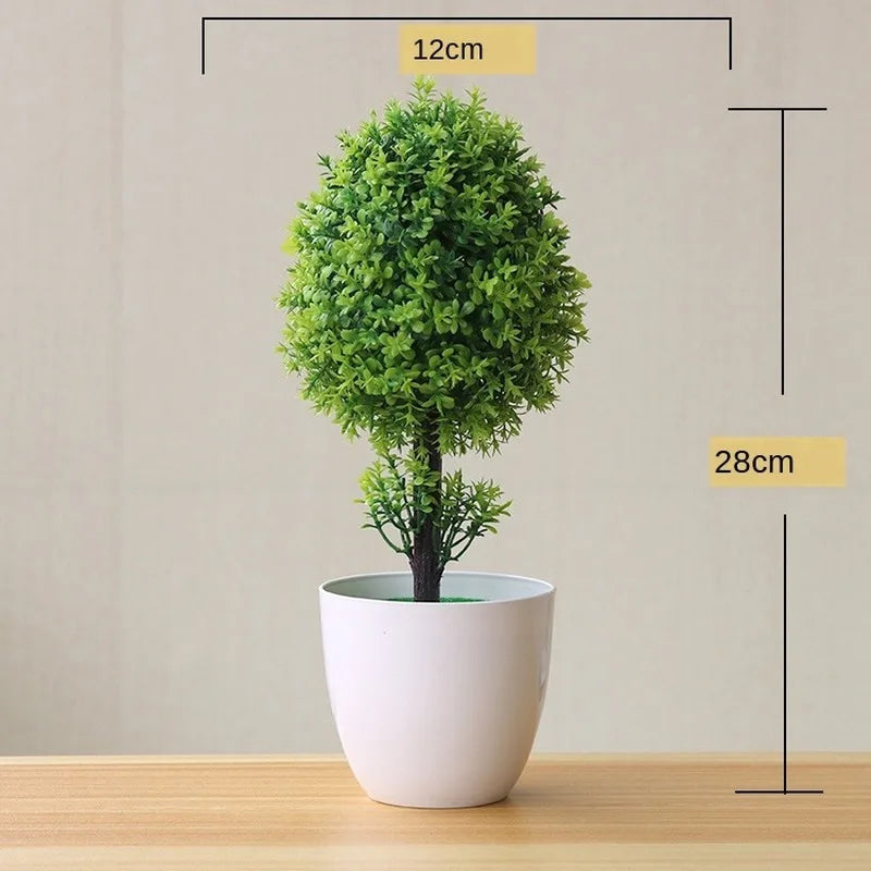 Skanto | Liten Tre Potte Bonsai Planter