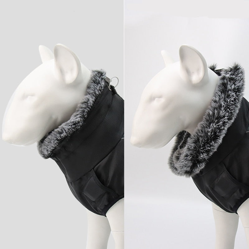 Skanto | Vanntette vinter hundejakker