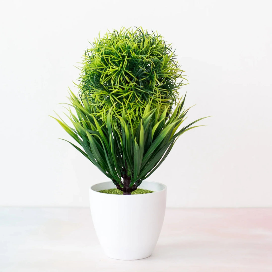 Skanto | Liten Tre Potte Bonsai Planter