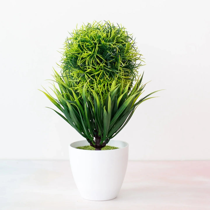Skanto | Liten Tre Potte Bonsai Planter