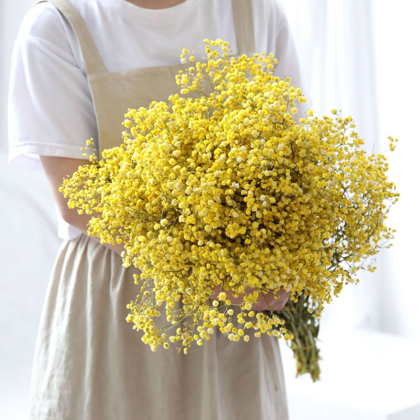 Norvo | Tørket Bevart Gypsophila Blomsterbukett – Naturlig Dekor