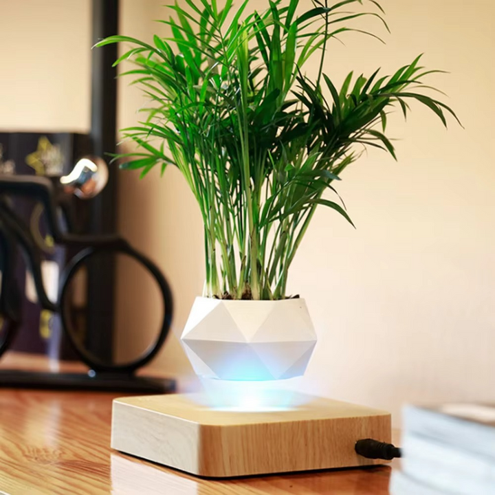 Skanto | Flytende Blomsterpotte – Magnetisk Flytende Planteholder