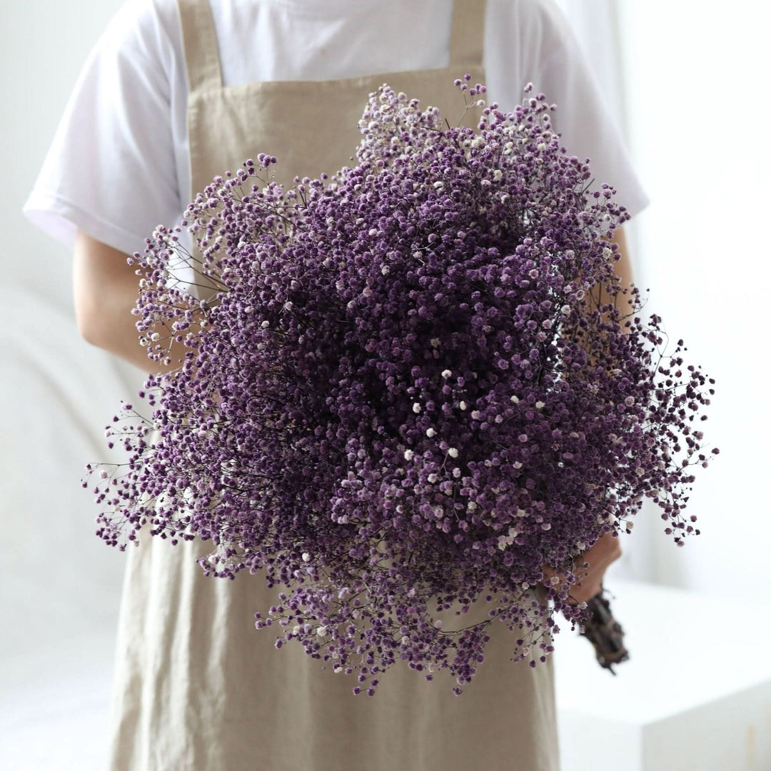 Skanto | Tørket Bevart Gypsophila Blomsterbukett – Naturlig Dekor