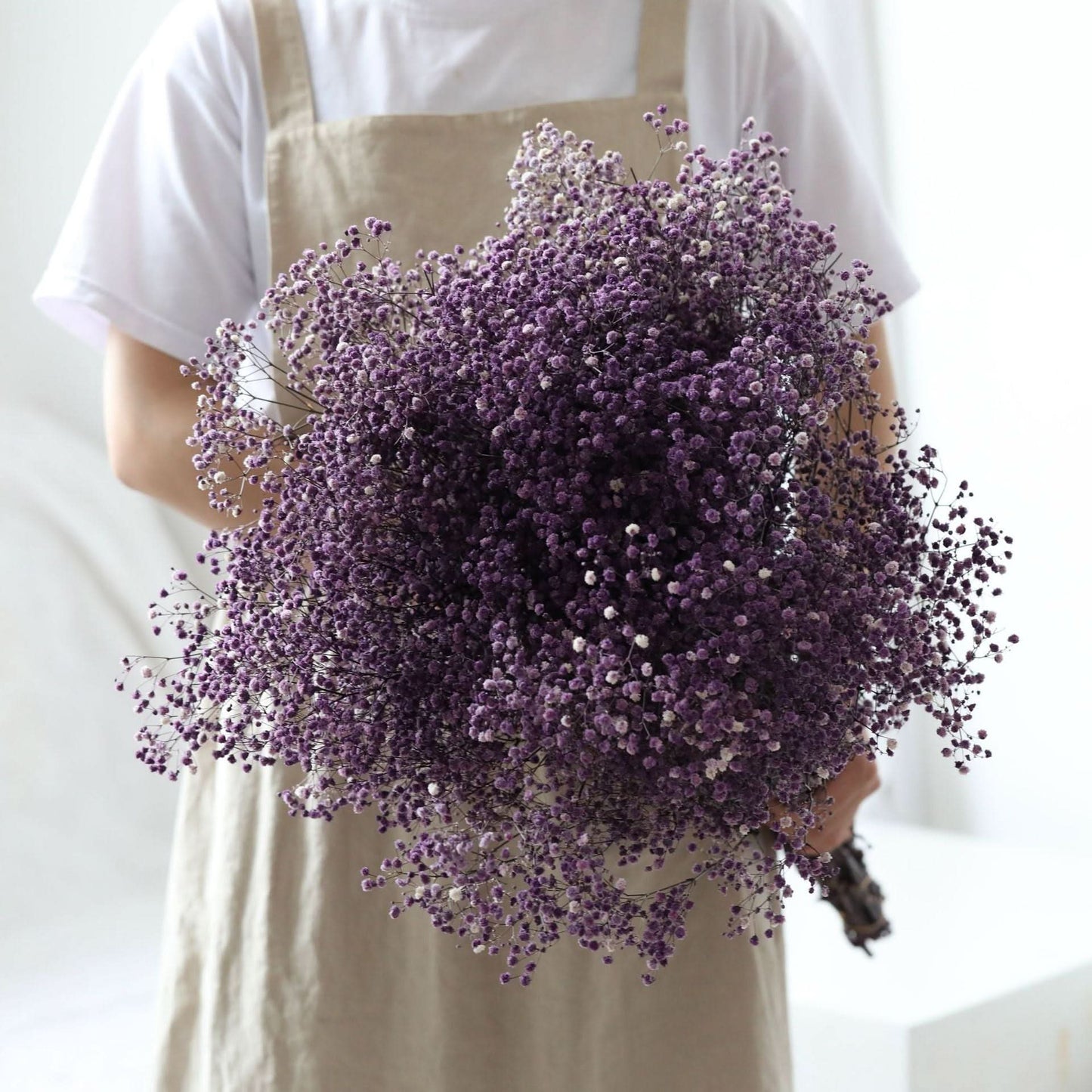 Norvo | Tørket Bevart Gypsophila Blomsterbukett – Naturlig Dekor