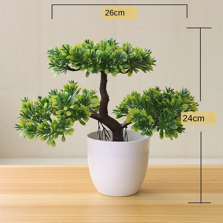 Skanto | Liten Tre Potte Bonsai Planter