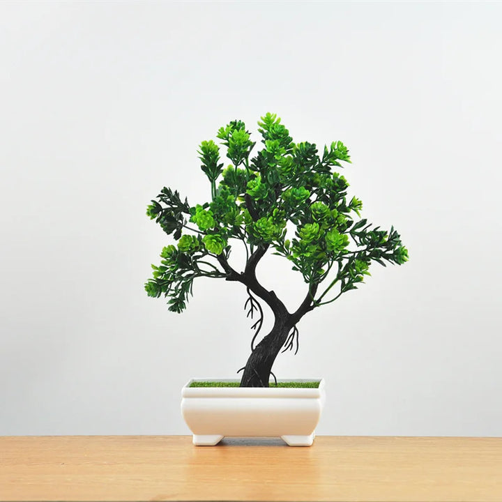 Skanto | Liten Tre Potte Bonsai Planter
