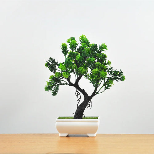 Skanto | Liten Tre Potte Bonsai Planter