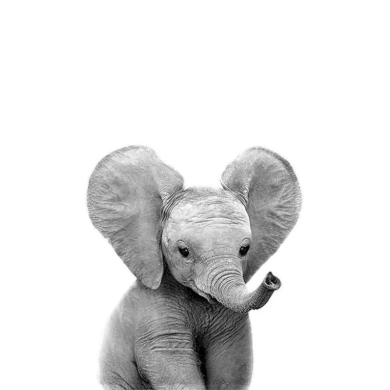 Cute Animal Wall Stickers for Kids Room Removable Peel and Stick Vinyl Wall Decals for Baby Room Creative DIY Wall Decor | Skanto