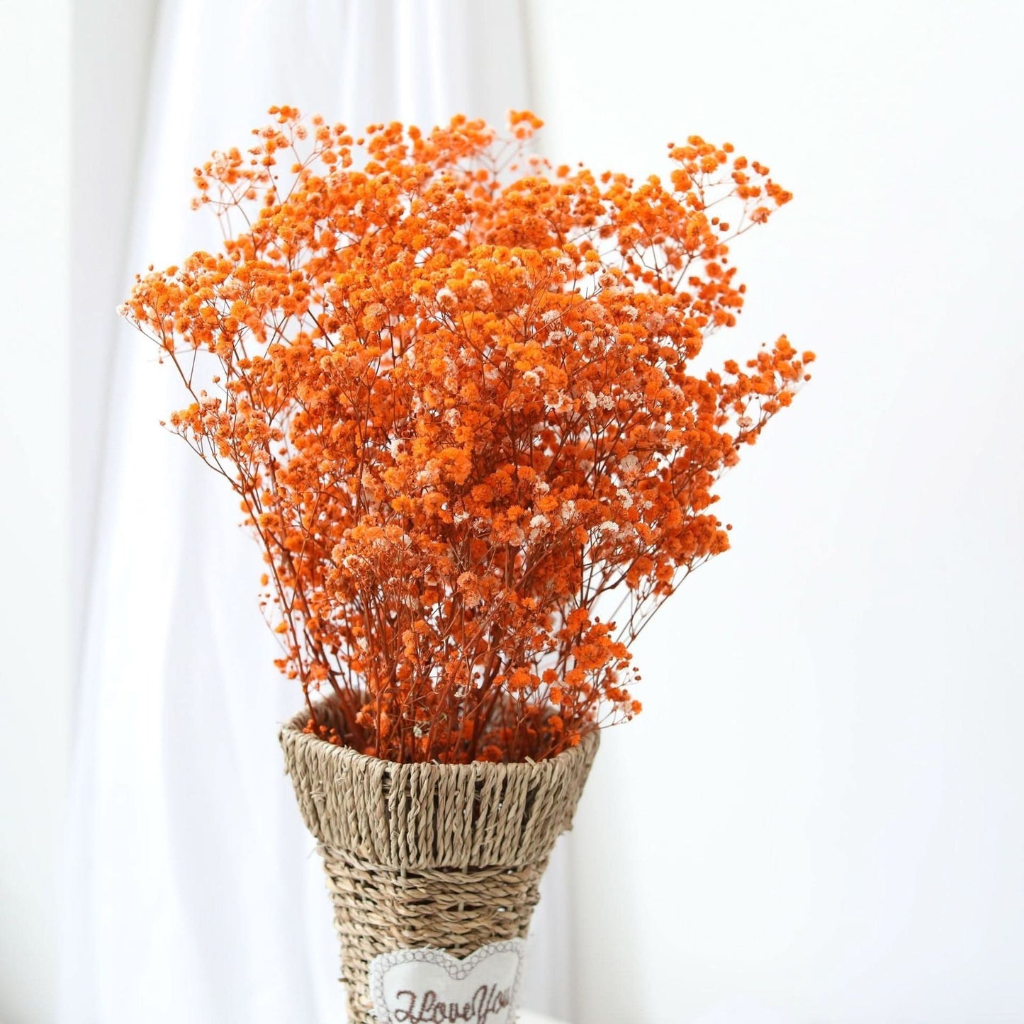 Norvo | Tørket Bevart Gypsophila Blomsterbukett – Naturlig Dekor