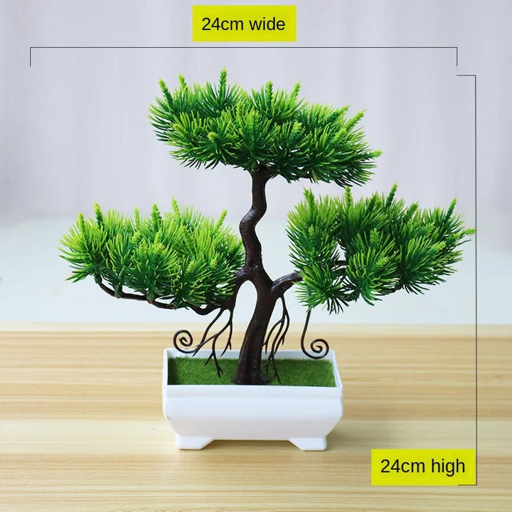 Skanto | Liten Tre Potte Bonsai Planter