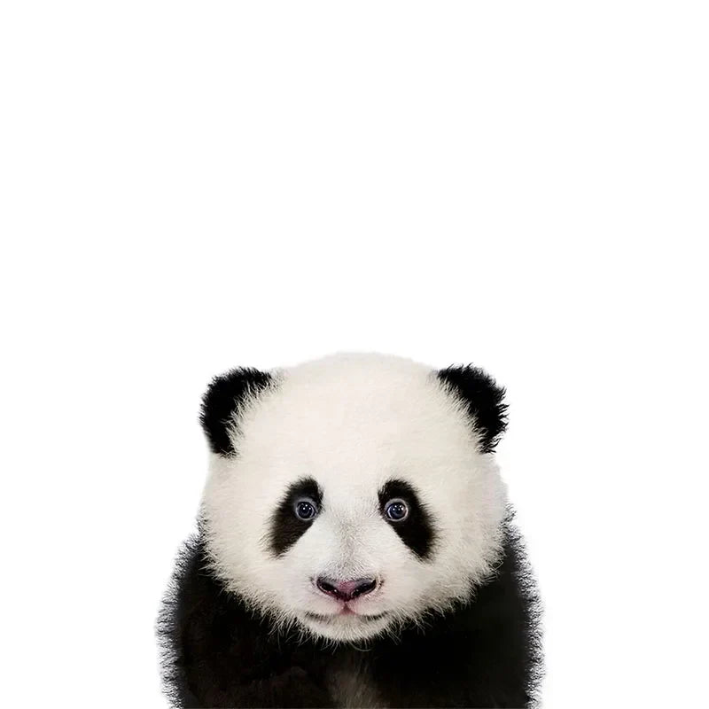 Cute Animal Wall Stickers for Kids Room Removable Peel and Stick Vinyl Wall Decals for Baby Room Creative DIY Wall Decor | Skanto