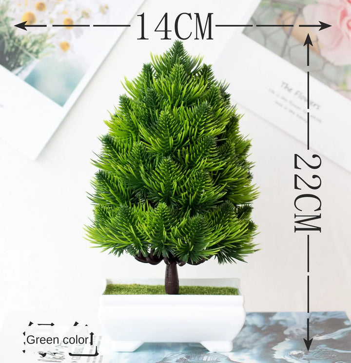 Skanto | Liten Tre Potte Bonsai Planter