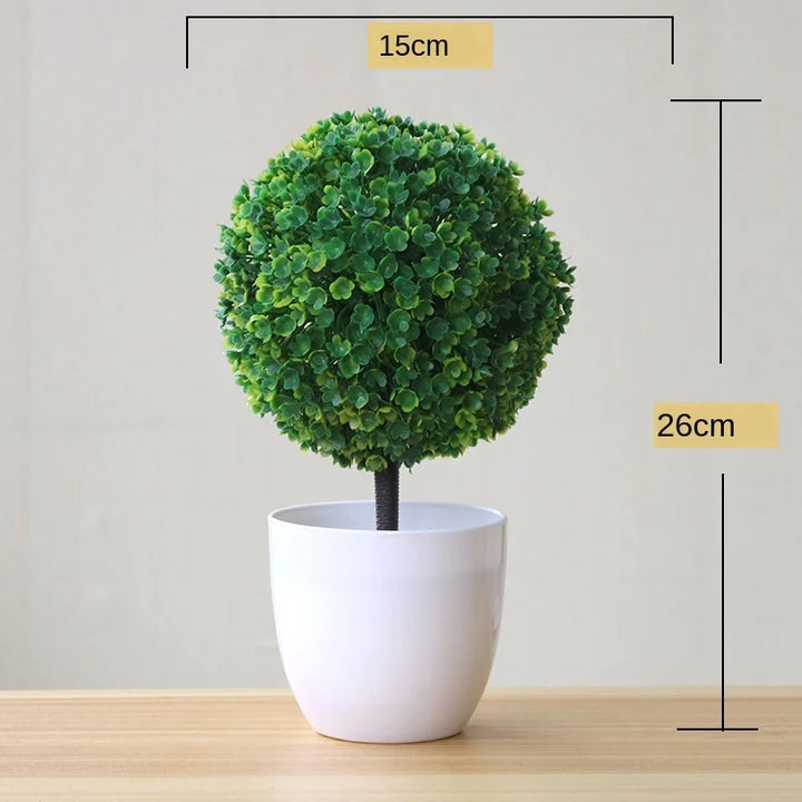 Skanto | Liten Tre Potte Bonsai Planter