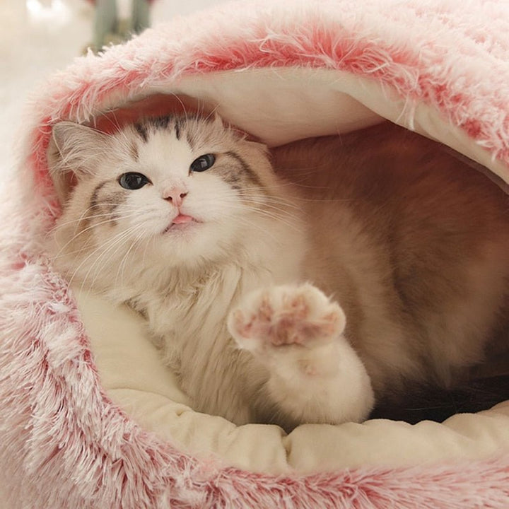KittyCove Ultimativt komfort for katten din | Skanto