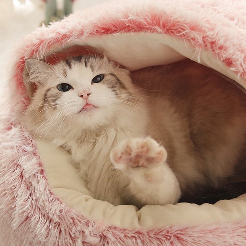 KittyCove Ultimate Comfort for Your Cat | Skanto