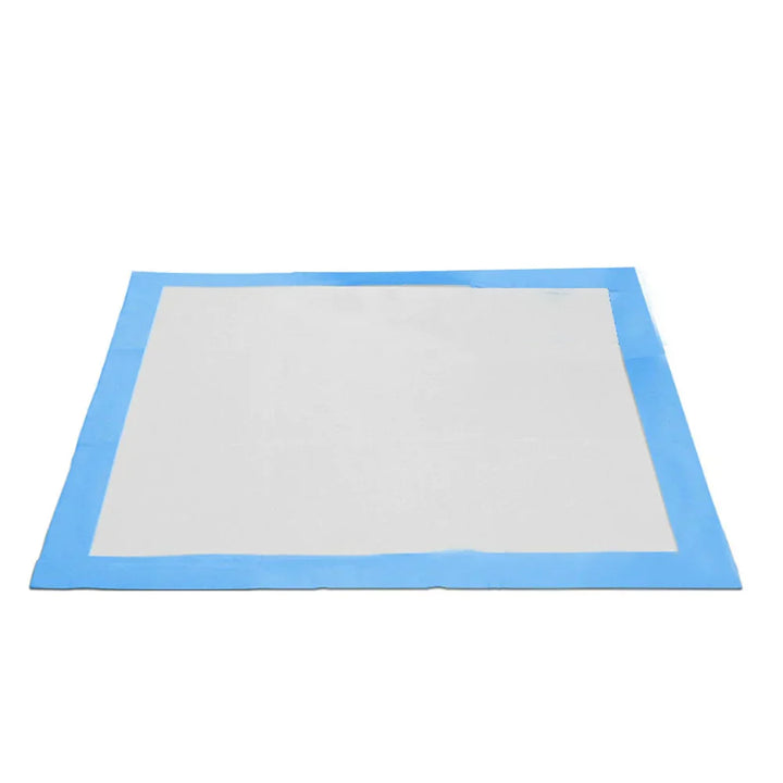 Pet Training Pads - DryPaws Matter Skanto