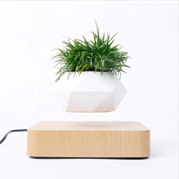 Skanto | Magnetisk svevende Bonsai Plantekrukke, Flytende Blomsterkrukke for Hjem og Kontor Dekor