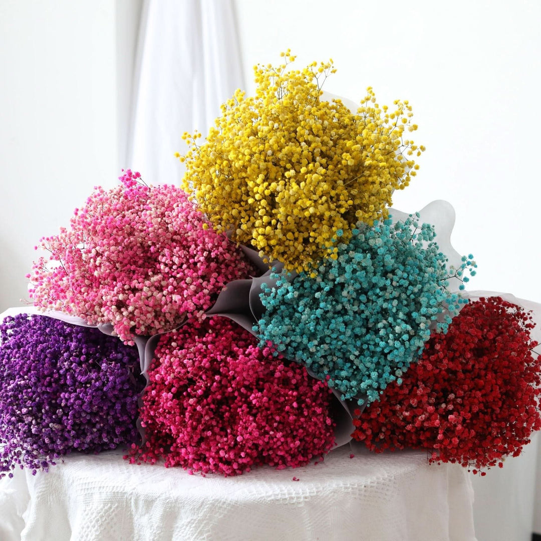 Skanto | Tørket Bevart Gypsophila Blomsterbukett – Naturlig Dekor