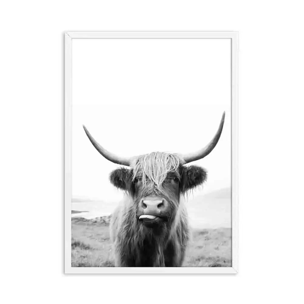 Hochlandrinder Schwarz Weiß Minimalistisk Veggkunst Fine Art Lærretstrykk Poster Bilder For Stue Spisestue Nordisk Interiør | Skanto