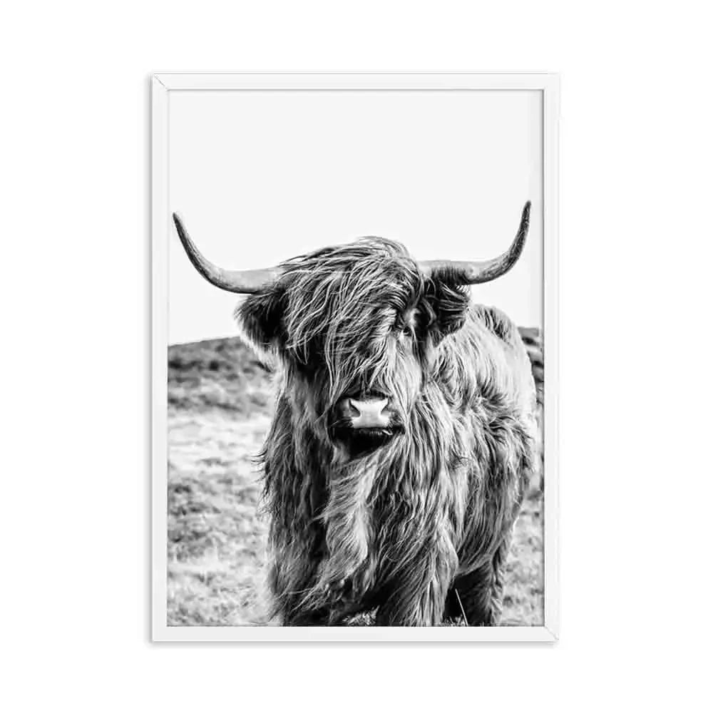 Hochlandrinder Schwarz Weiß Minimalistisk Veggkunst Fine Art Lærretstrykk Poster Bilder For Stue Spisestue Nordisk Interiør | Skanto