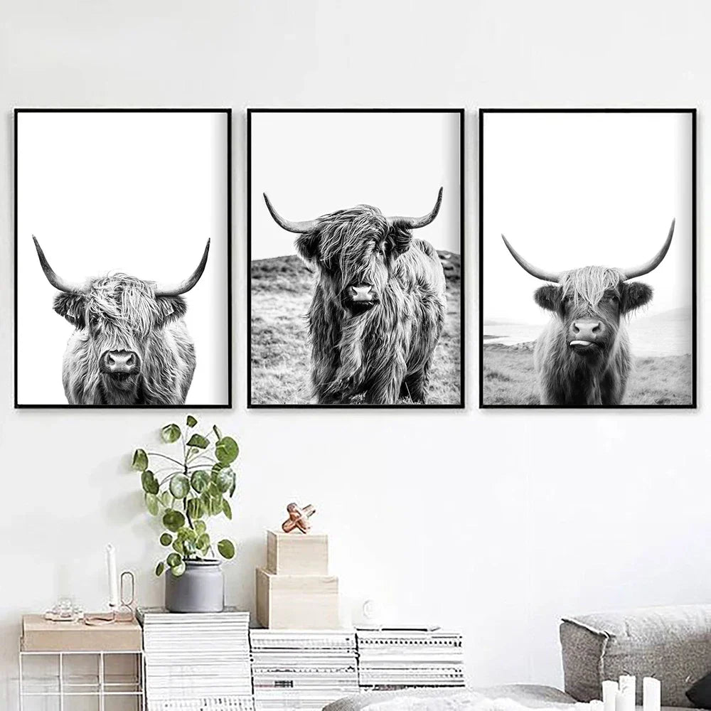 Hochlandrinder Schwarz Weiß Minimalistisk Veggkunst Fine Art Lærretstrykk Poster Bilder For Stue Spisestue Nordisk Interiør | Skanto