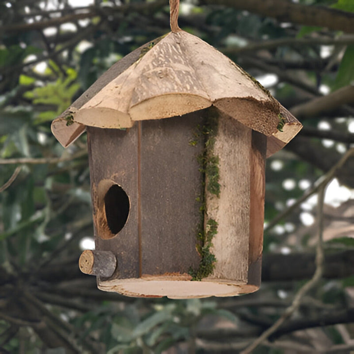 Skanto | Rustikk Tre Kolibri Fuglehus