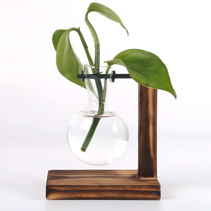 Skanto | Rustikk Tre Hydroponisk Planteholder med Glassvase