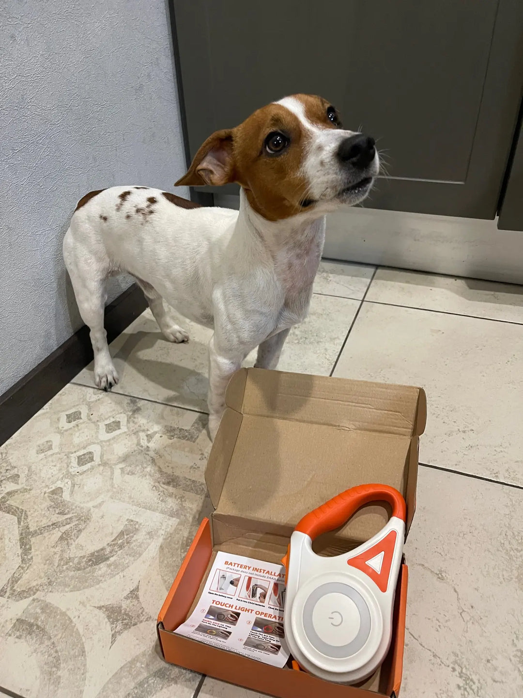 SafeWalk Koppel – Belyst Hundekoppel for Sikker Gåing Skanto