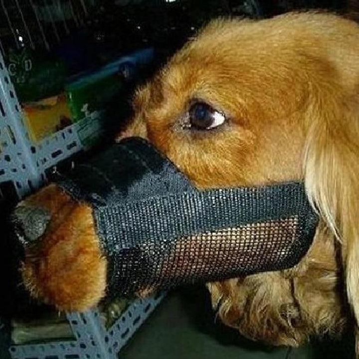 Skanto | Kjetting Hund Justerbar Maske Bjeffe Bite Mesh Munnkurv Stell Anti Stoppe Chewing