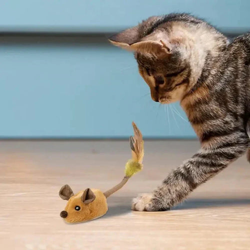 Interaktiv Katt Mus – Jakt Moro Mus Skålift