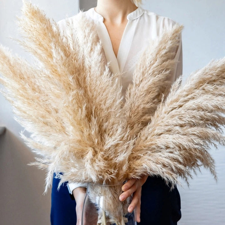 Skanto | FeatherFawn - Tørkede Pampasblomster
