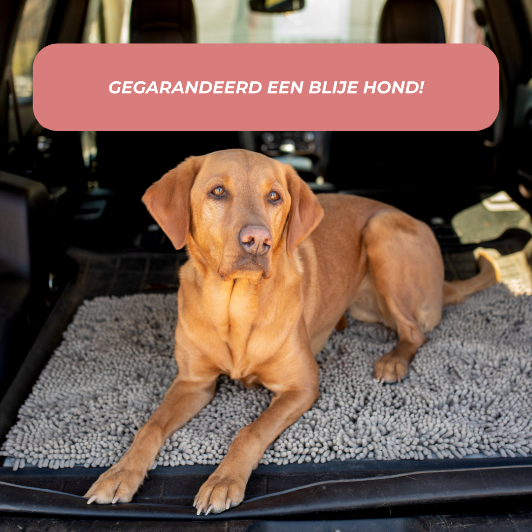 Skanto | Joep Hund Dørmatte – Super Absorberende Matte for Skitne Poter