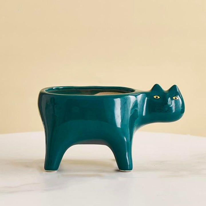 Kat Pot | Skanto