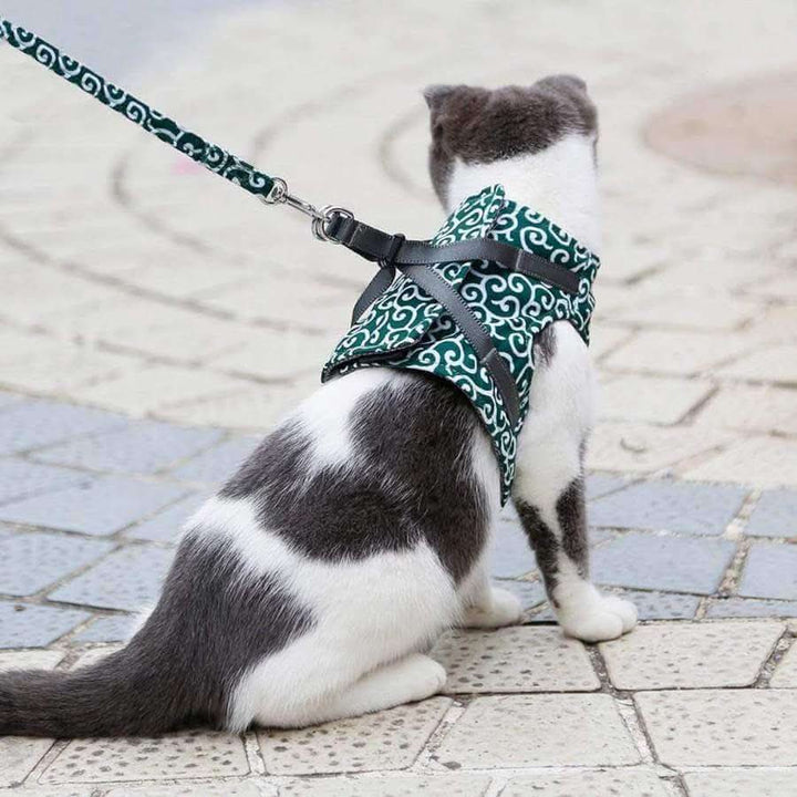 Skanto | Katt sele vest for sikkerhet og komfort
