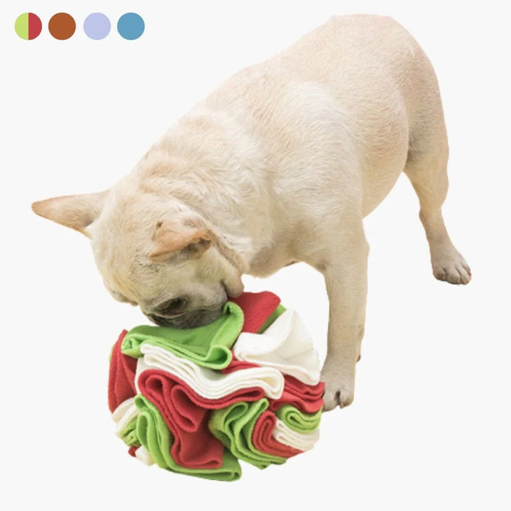 Interaktiv Sniffing Ball for Hunder - SniffJoy Skanto
