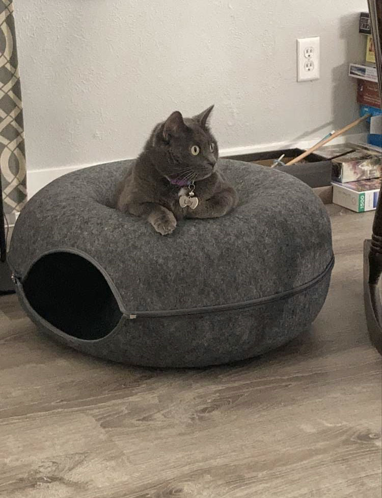 Purrfect Den - Luksus Katte Tunnel med Soveplass Skanto