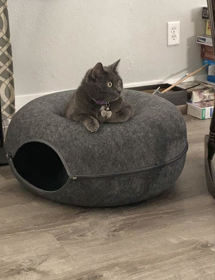 Purrfect Den - Luksus Katte Tunnel med Soveplass Skanto