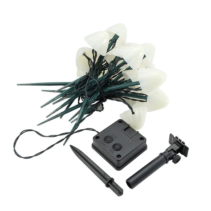 Norvo | Magisk atmosfære i omgivelsene