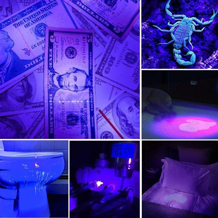 Skanto | LED UV Lommelykt Ultrafiolett Torche Med Zoomfunksjon Mini UV Svart Lys Pet Urin Flekk Detektor Skorpion Jakting