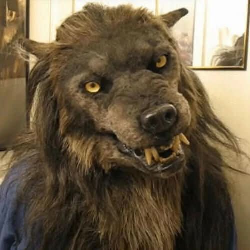 Skanto | Realistisk Ulvemaske for Halloween & Cosplay
