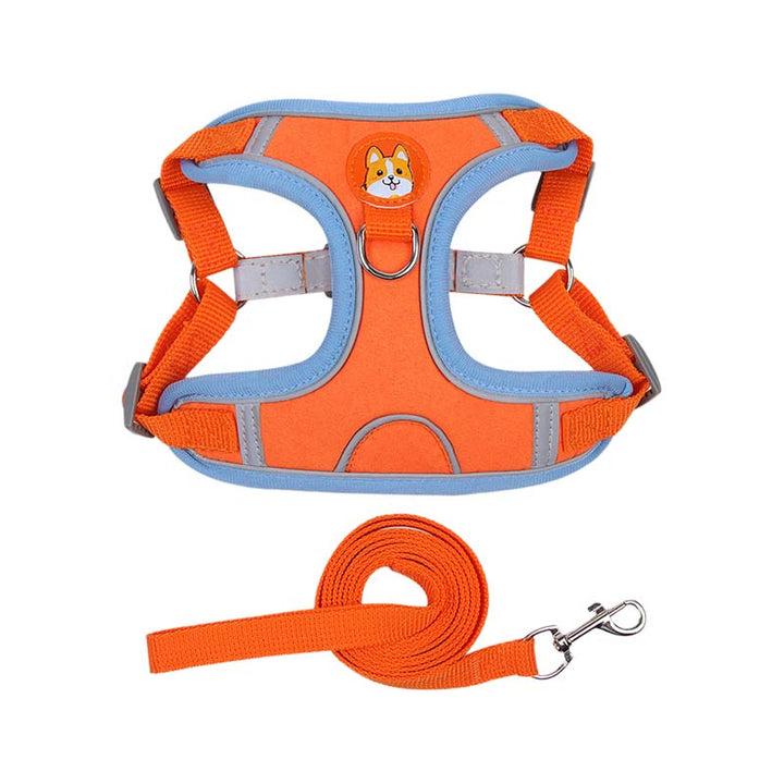 Skanto | Reflekterende kjæledyrsele og båndsett